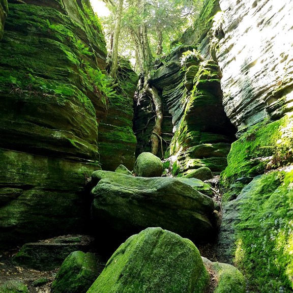 Panama Rocks