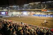 Majestic Valley Arena