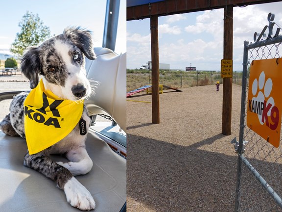KampK9 Lighted Dog Park