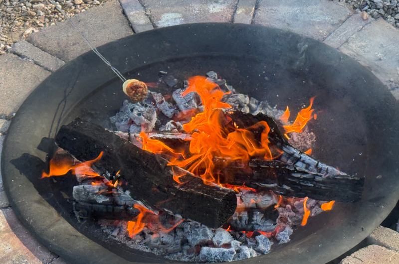 S'mores by the Campfire Photo