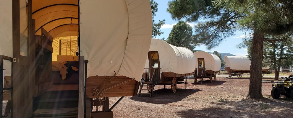 Conestoga Wagon Train