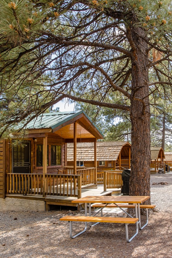 Circle Pines Camping Cabins