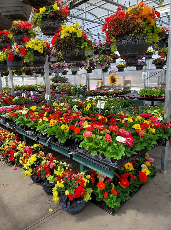 Davy's Fresh Market