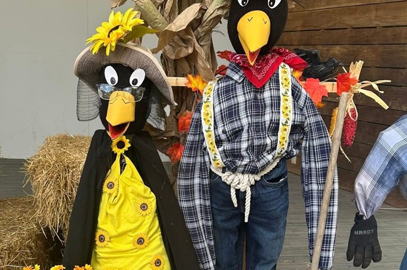 Fall Festival Weekend! Photo