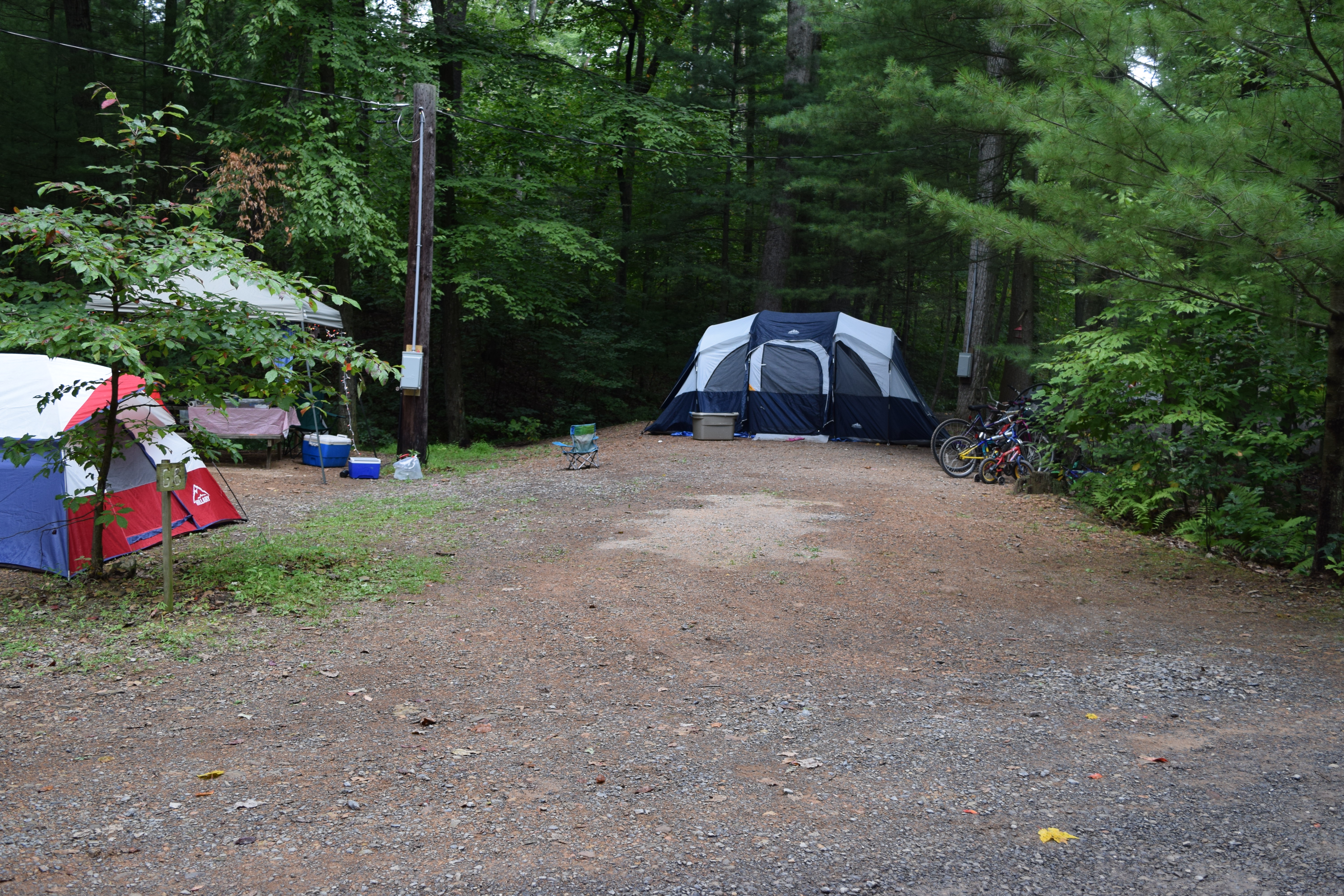 Wooded tent sites with a little extra convenience. Electric & water hookups available right at your site. Easy to blow up your air mattress or charge your phone.