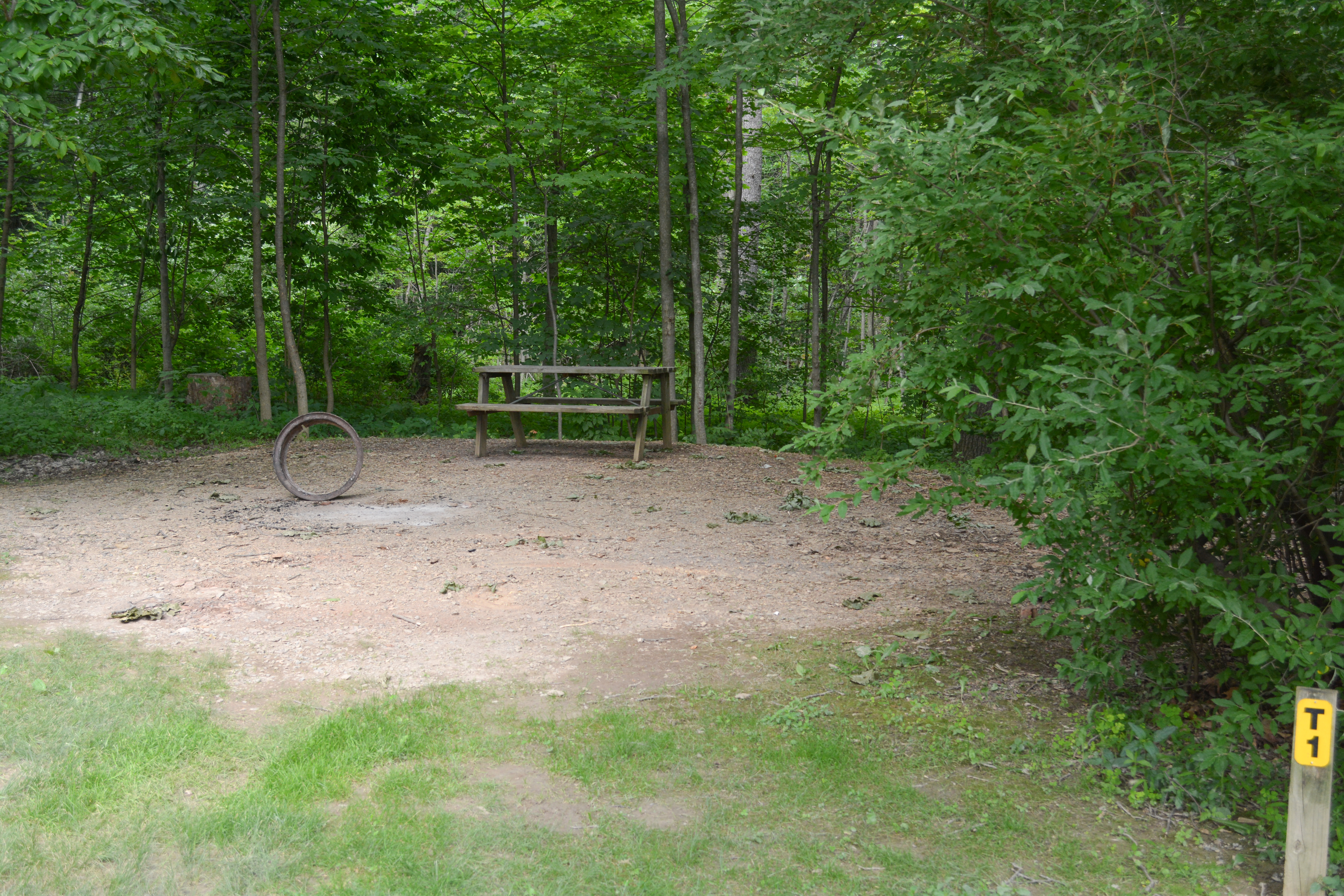 Back to nature. Enjoy these wooded sites in a secluded area of the park, but not far from facilities. Picnic tables & fire rings are located at the site for your convenience. Water is available.