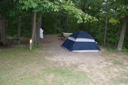 Back to nature. Enjoy these wooded sites in a secluded area of the park, but not far from facilities. Picnic tables & fire rings are located at the site for your convenience. Water is available.
