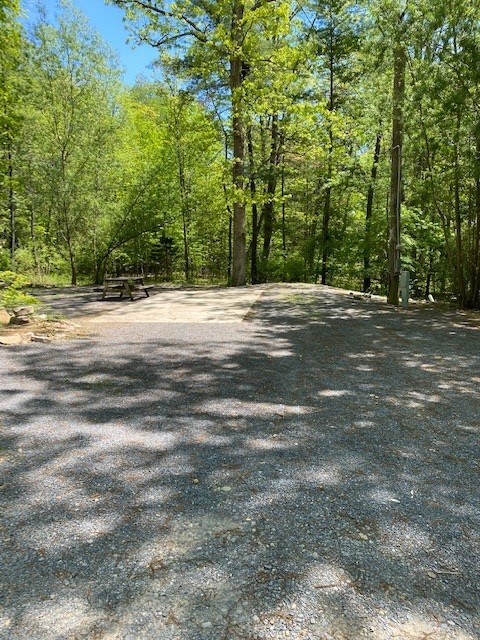 Spacious Back In Sites with water, 50amp electric, sewer and cable hookups. Some sites located close to the front of the park and near all the activities, and others that are in a more secluded and quiet area of the park.