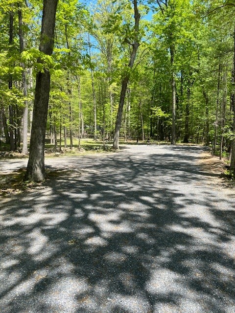 Spacious Back In Sites with water, 50amp electric, sewer and cable hookups. Some sites located close to the front of the park and near all the activities, and others that are in a more secluded and quiet area of the park.