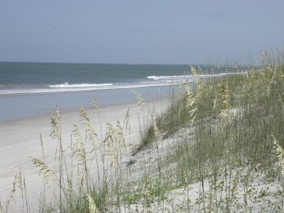 Masonboro Island