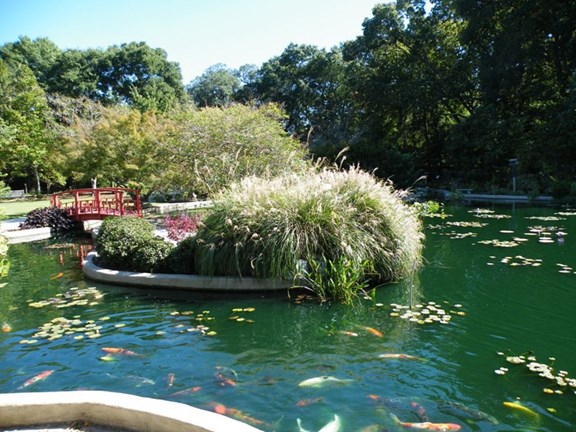 NC Arboretum