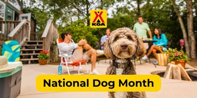 The Dogs We've Loved: Celebrating National Dog Month
