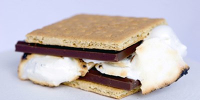 Celebrating S'mores!!