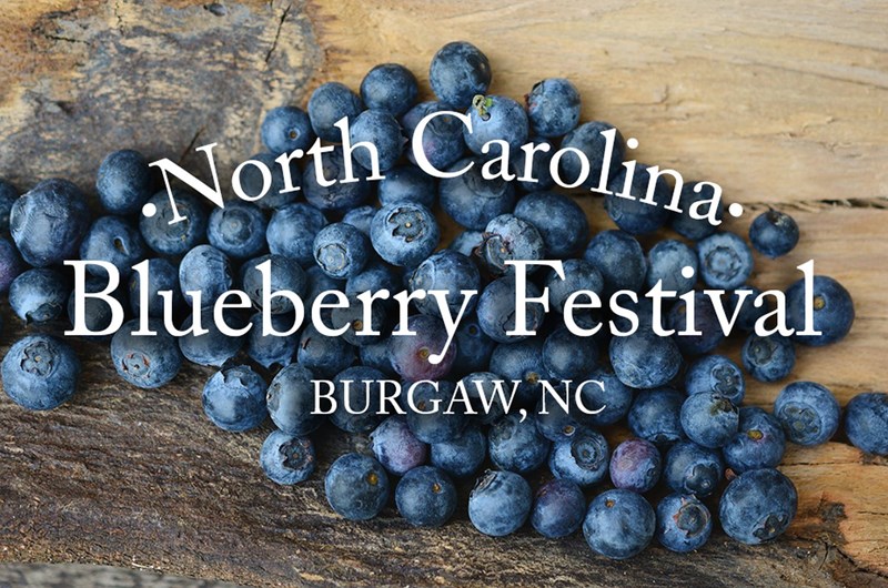 22nd Annual NC Blueberry Festival Photo