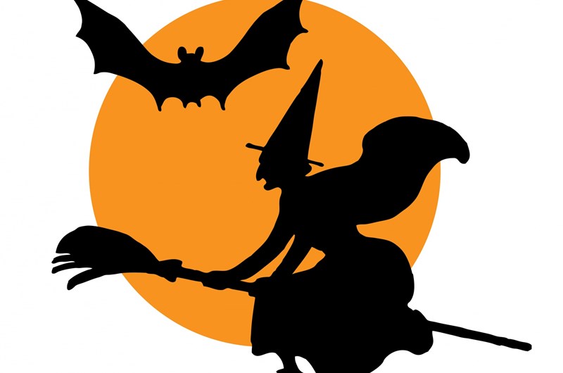 Halloween Fun 2026 Photo