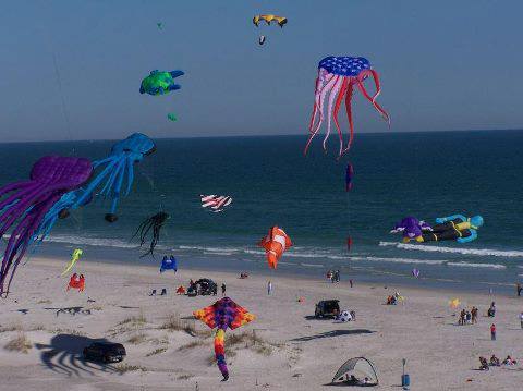 Cape Fear Kite Festival 2026 Photo