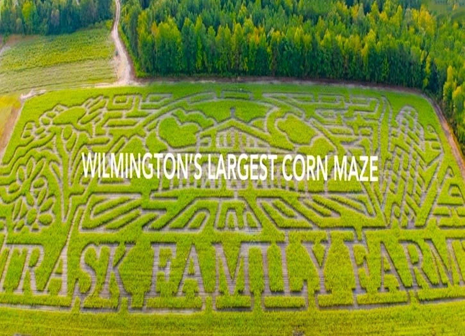 Fall Mystery Corn Mazes Photo