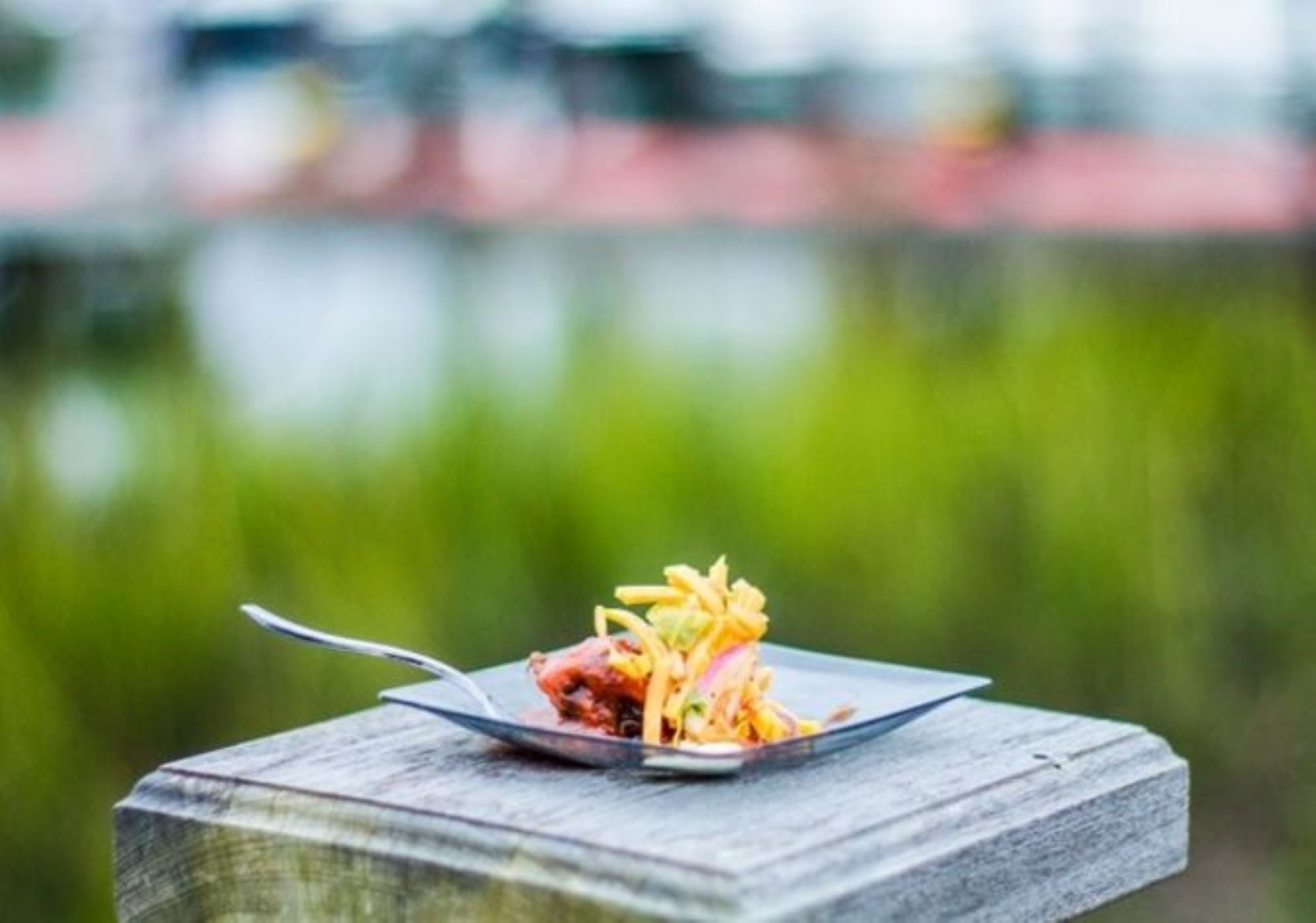 Annual Taste of Wrightsville Beach Photo