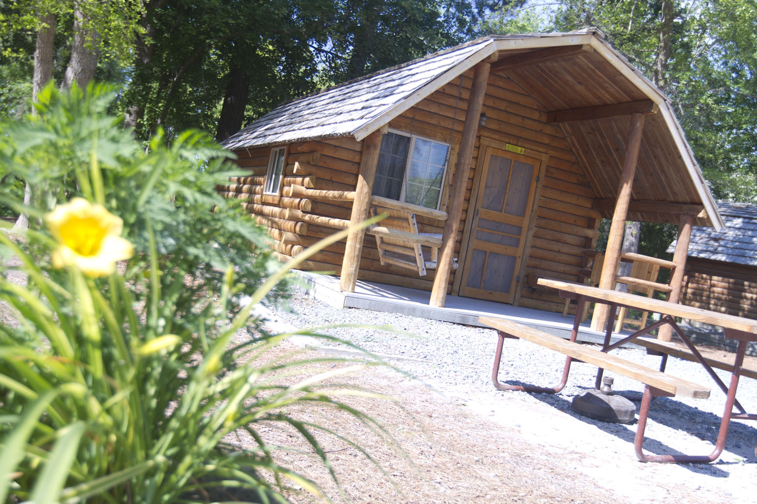 One Room Camping Cabin