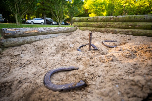 Horseshoes