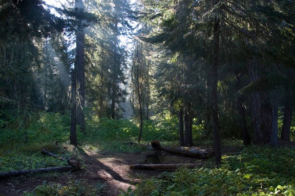 Okanogan-Wenatchee National Forest