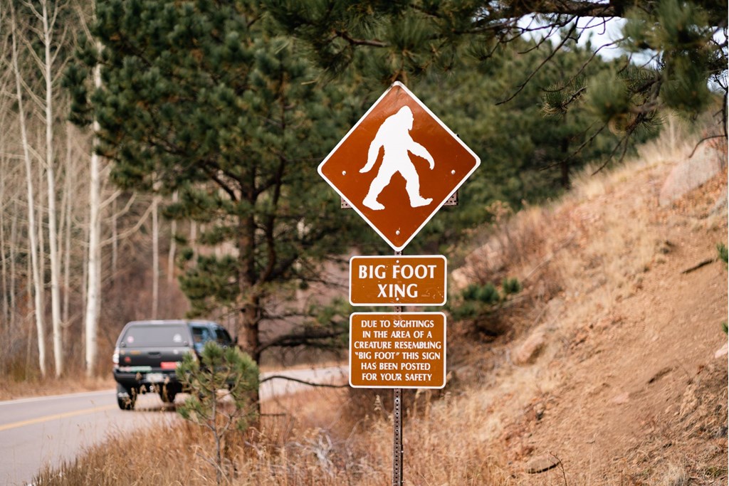 Chasing Legends: Bigfoot Sightings Near Winthrop, Washington