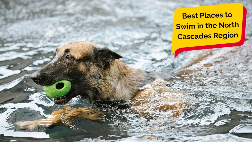 Make a Splash: Top Swimming Spots Near Winthrop / N. Cascade