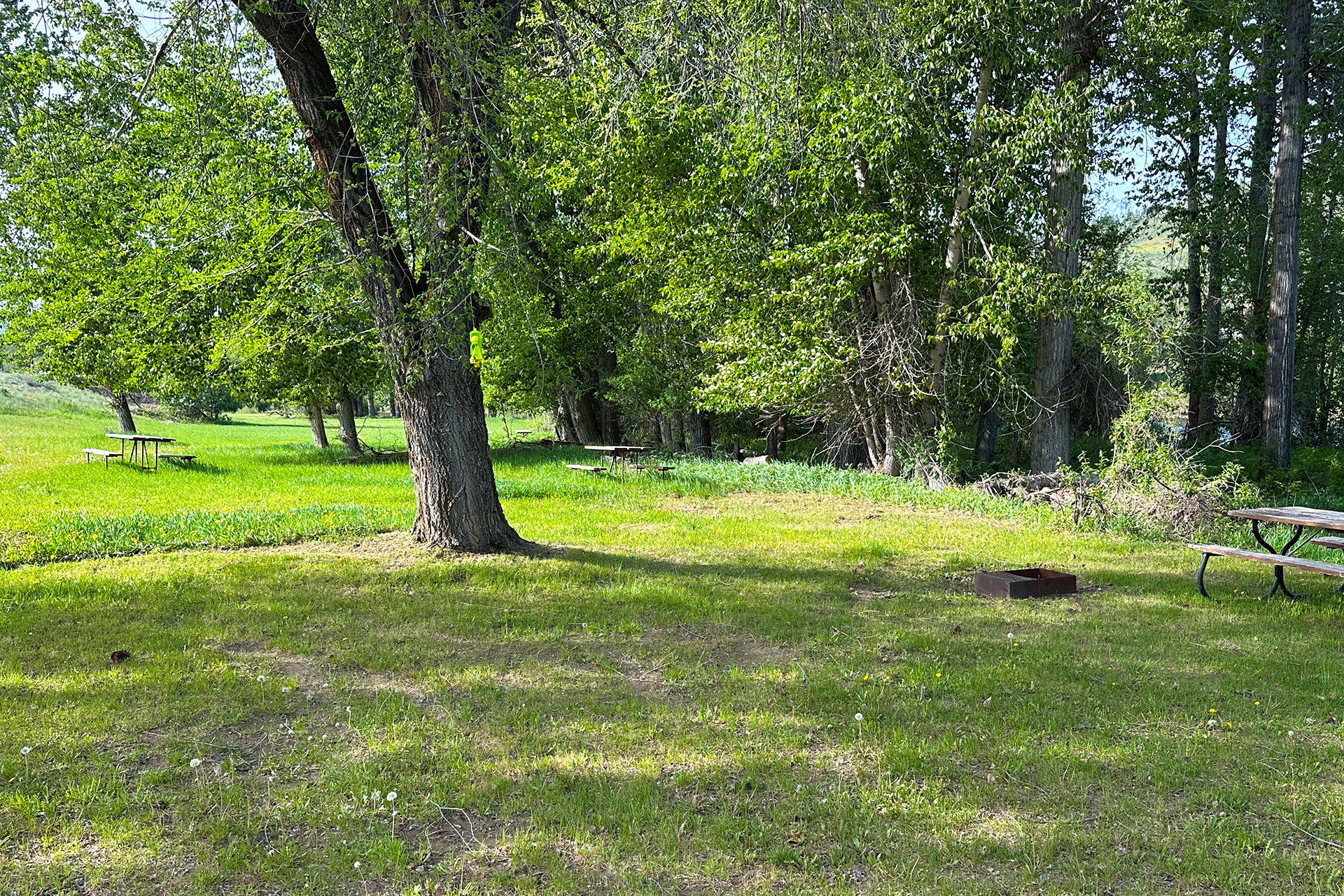 T1 - Tent Site, No Hookups (Middle)