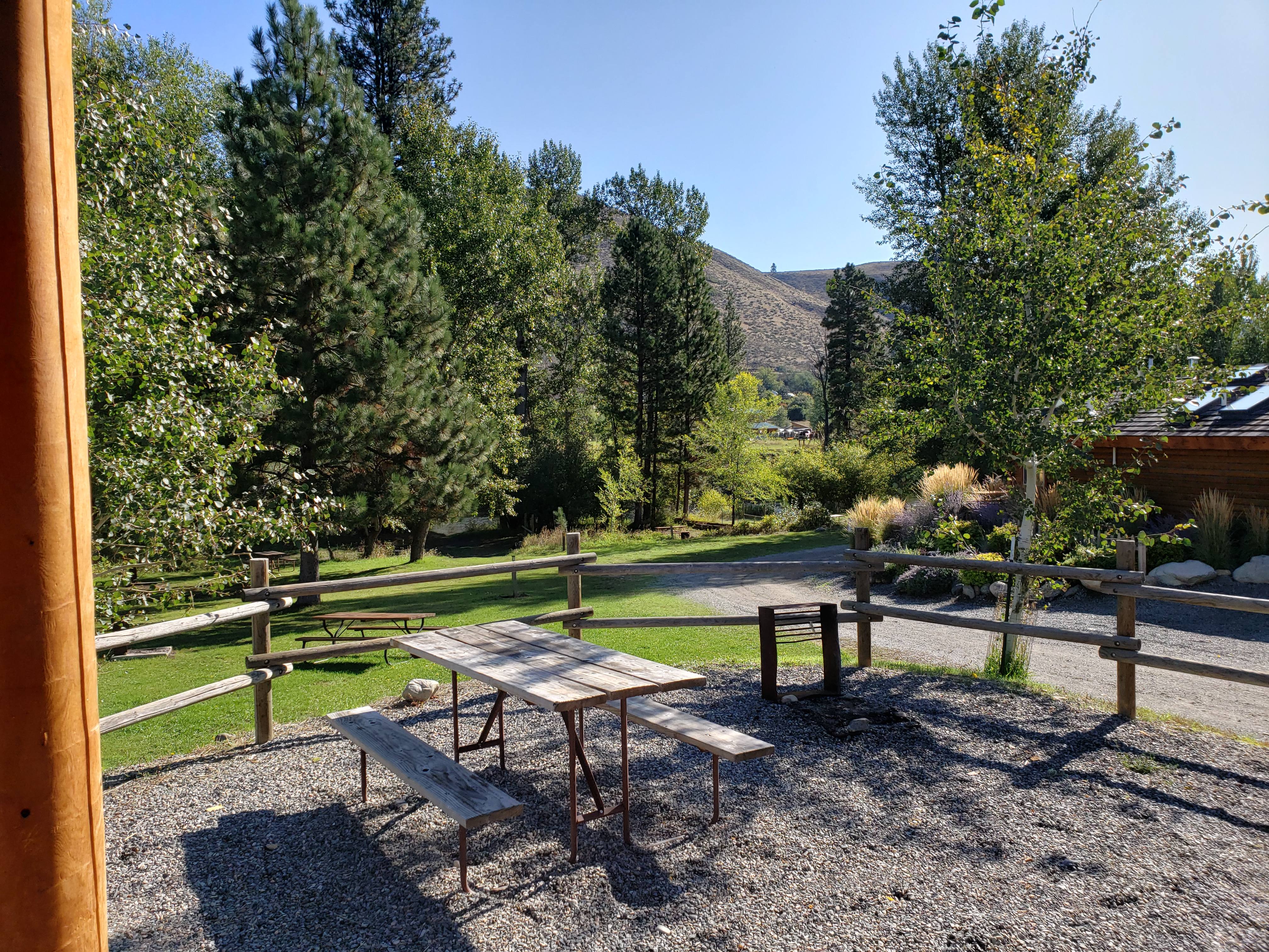 Cabin View