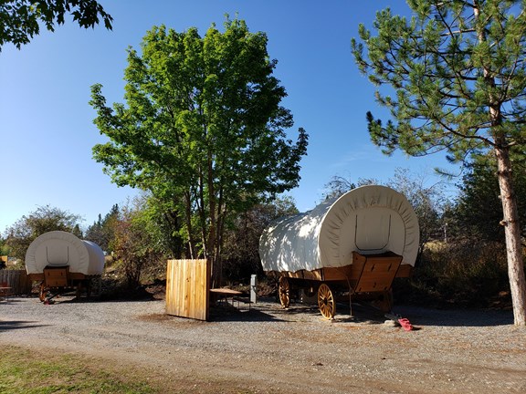 Conestoga Wagons