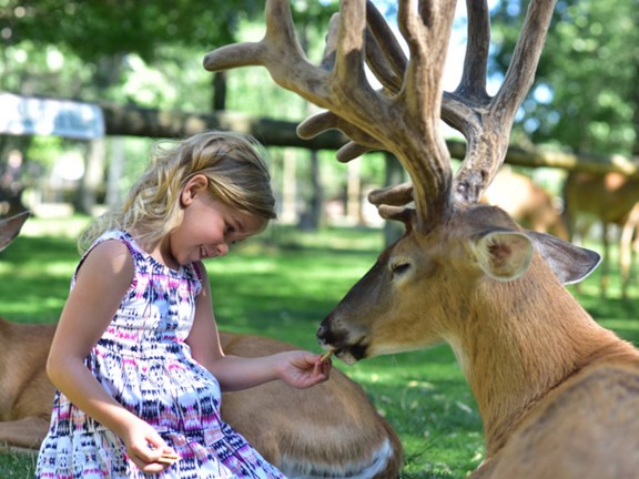 Wisconsin Deer Park