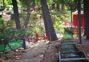 Timber Falls Adventure Golf