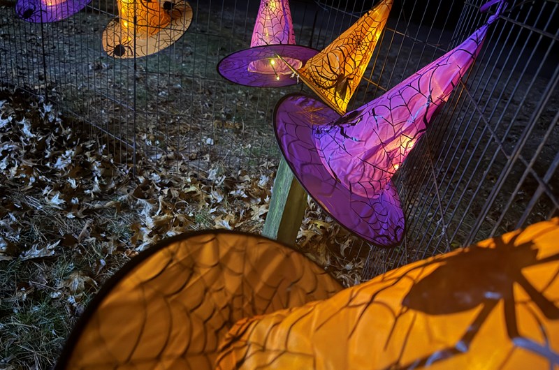 2026 Halloween 1 Photo