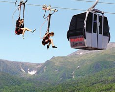 Wildcat Mountain