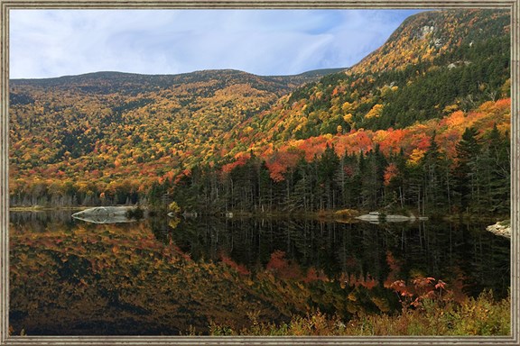 BEAVER POND IN KINSMAN NOTCH