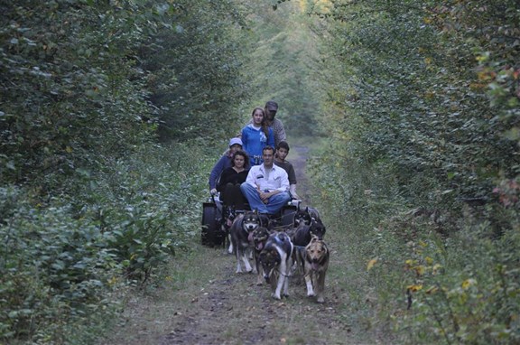 MUDDY PAWS SLED DOGS-TOUR!
