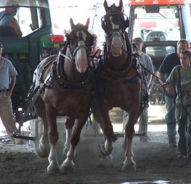 LANCASTER FAIR! Photo