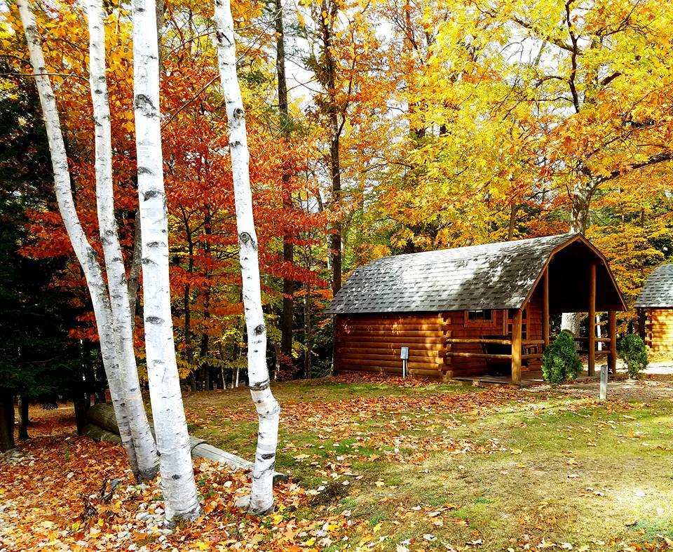 4 Person Basic Cabin