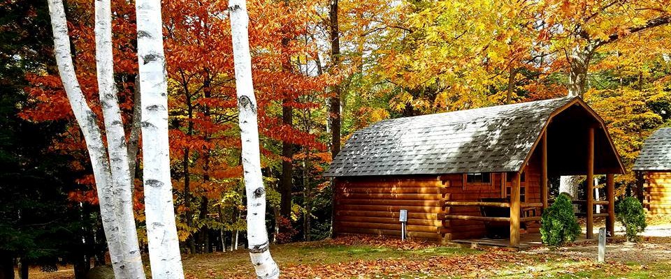 4 Person Basic Cabin