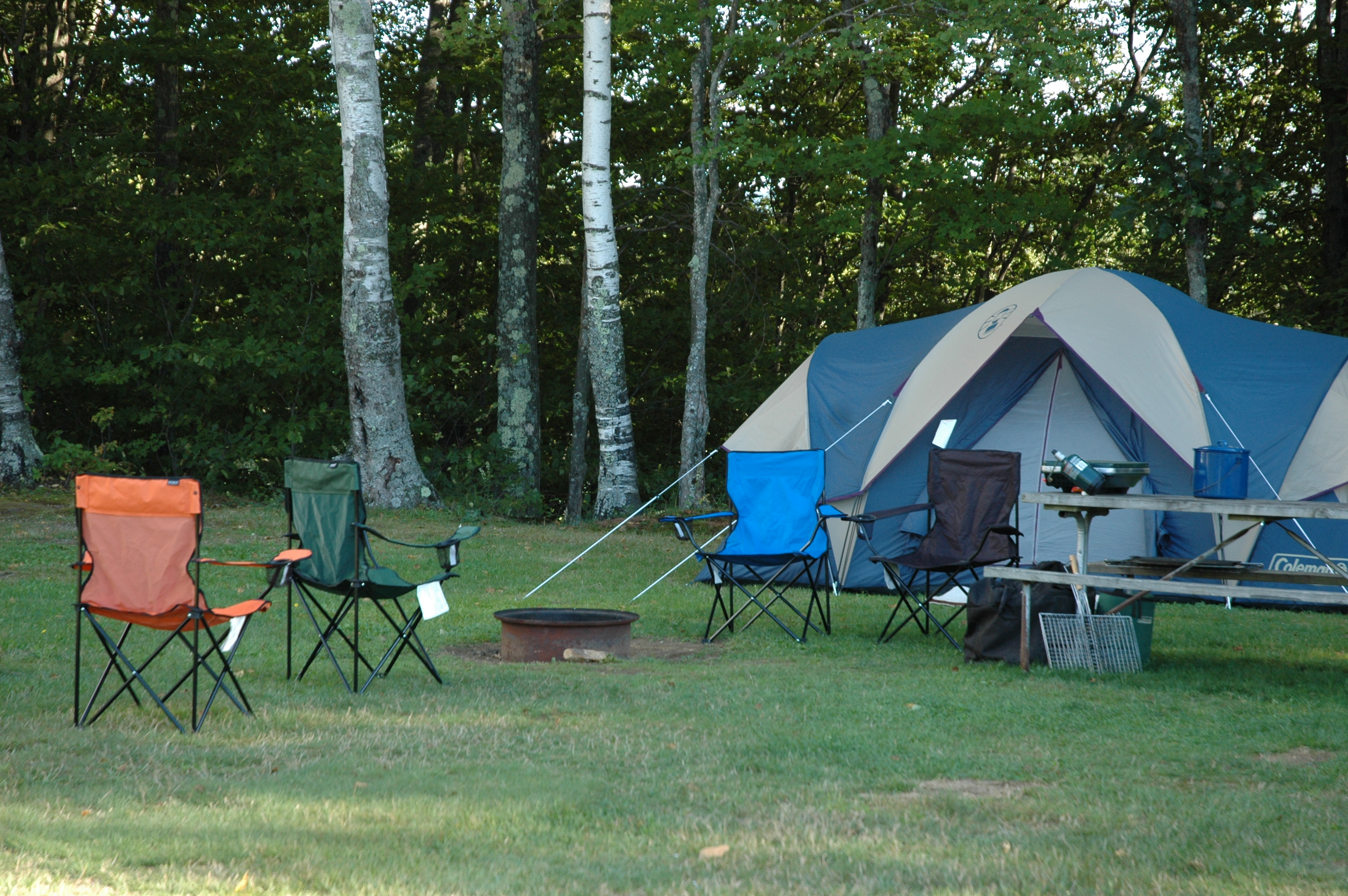 Grassy tenting sites