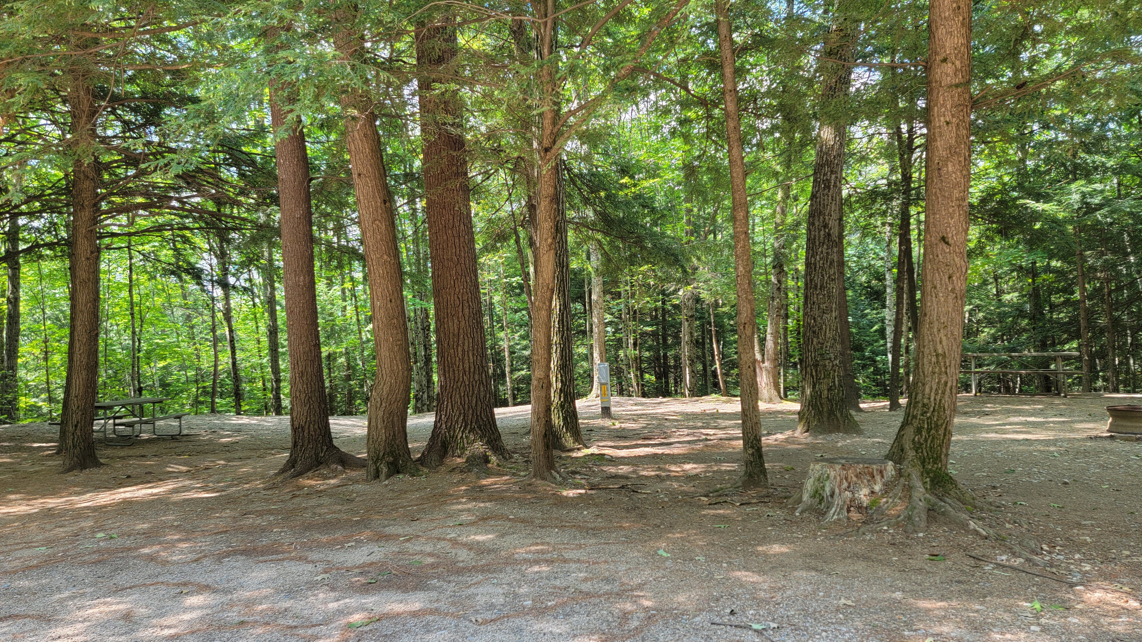 wooded sites