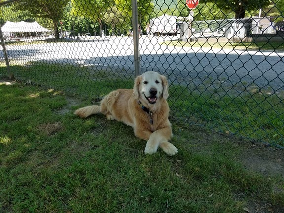 CHILL'N AT THE PARK!