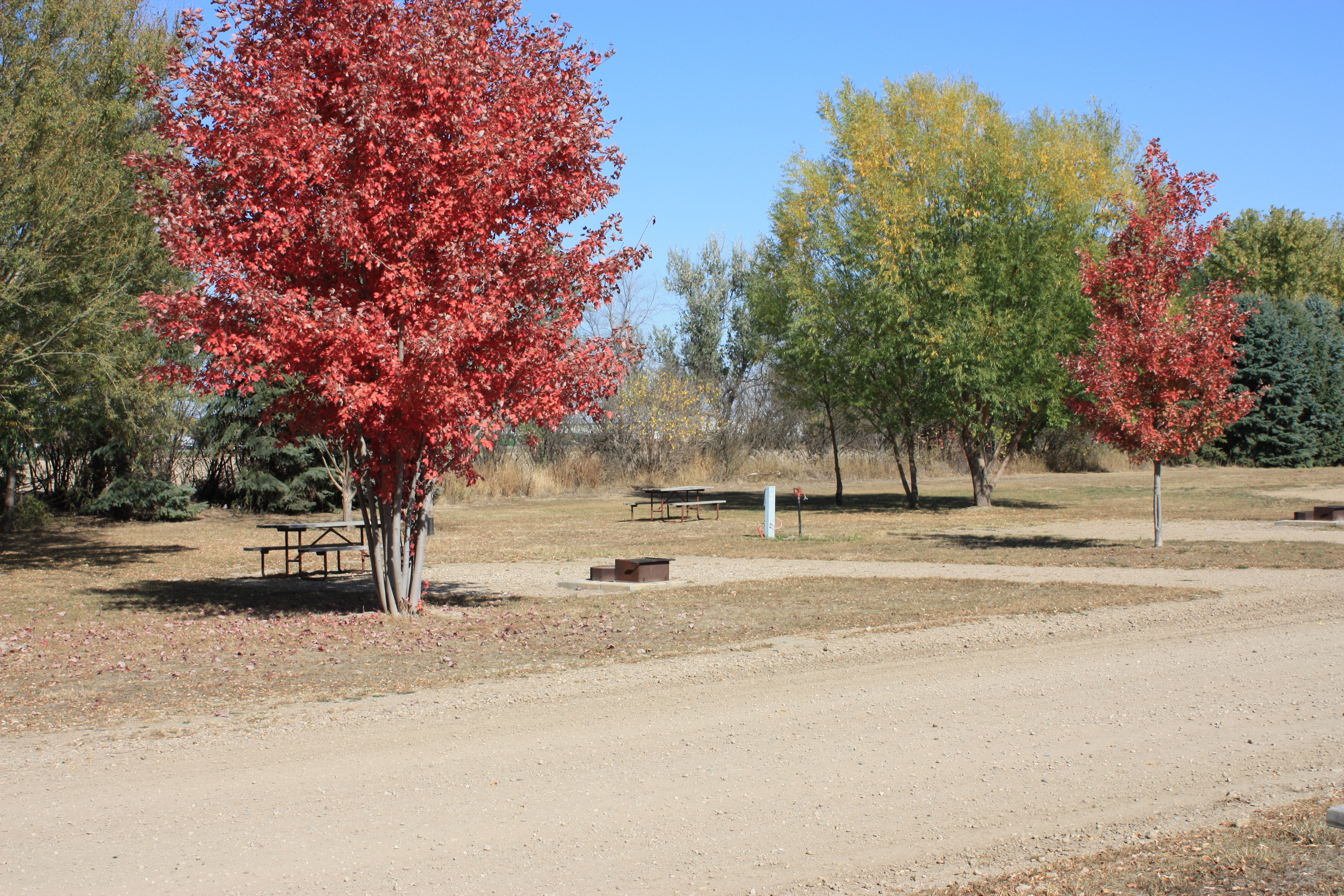 WATER & ELECTRIC TENT SITES