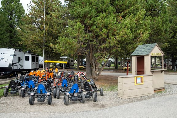 Bike Rentals