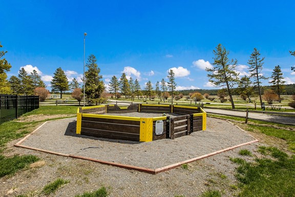 Gaga Ball