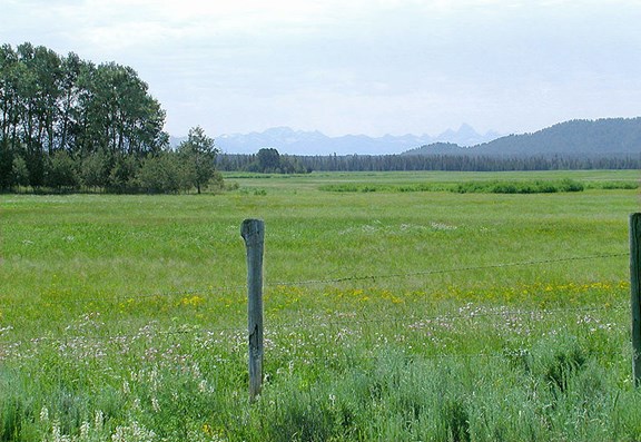 Island Park & Mesa Falls - 27 miles away