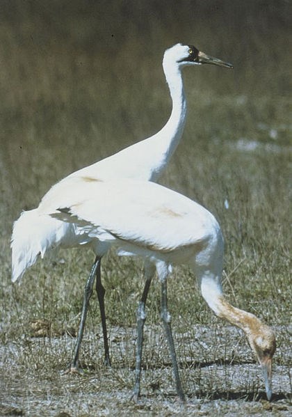 Red Rock Lake Refuge - 29 miles away