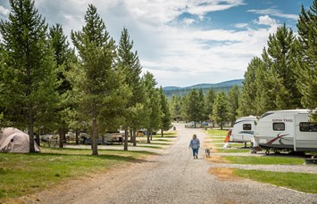 Yellowstone Park / West Gate KOA Holiday Photo