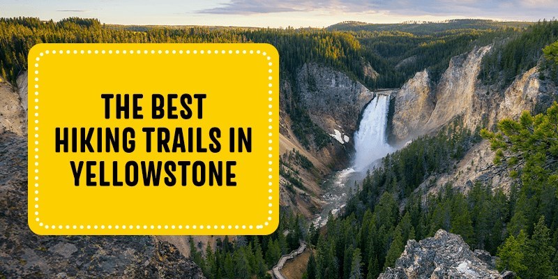 The Best Hiking Trails in Yellowstone